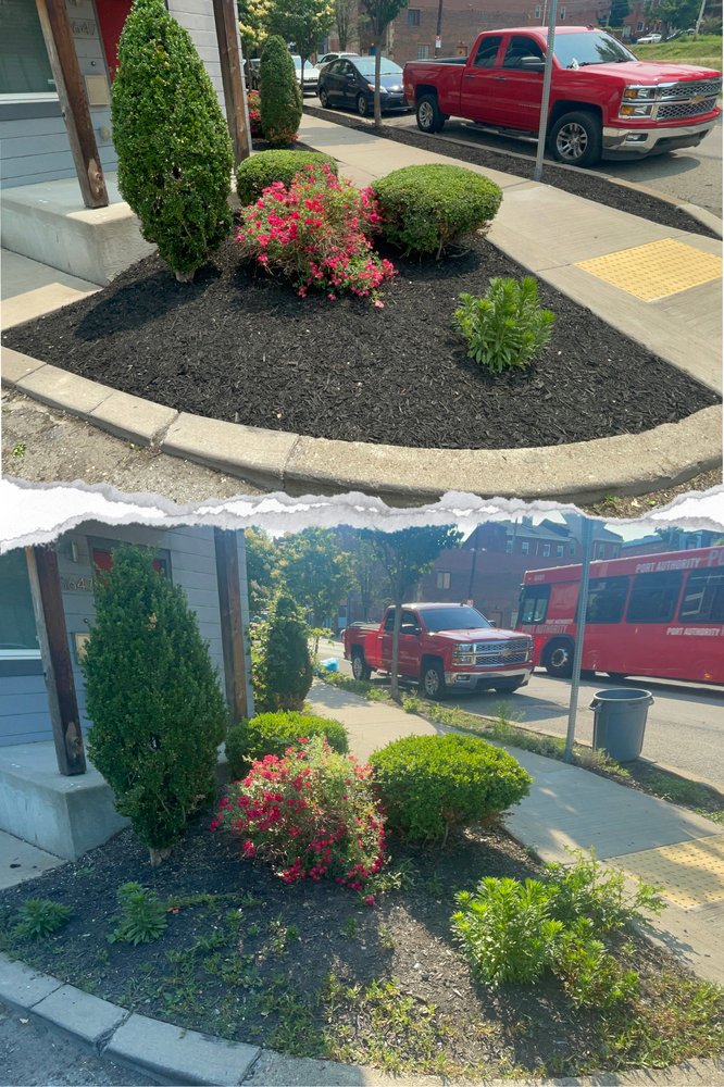 Quality Care Landscaping