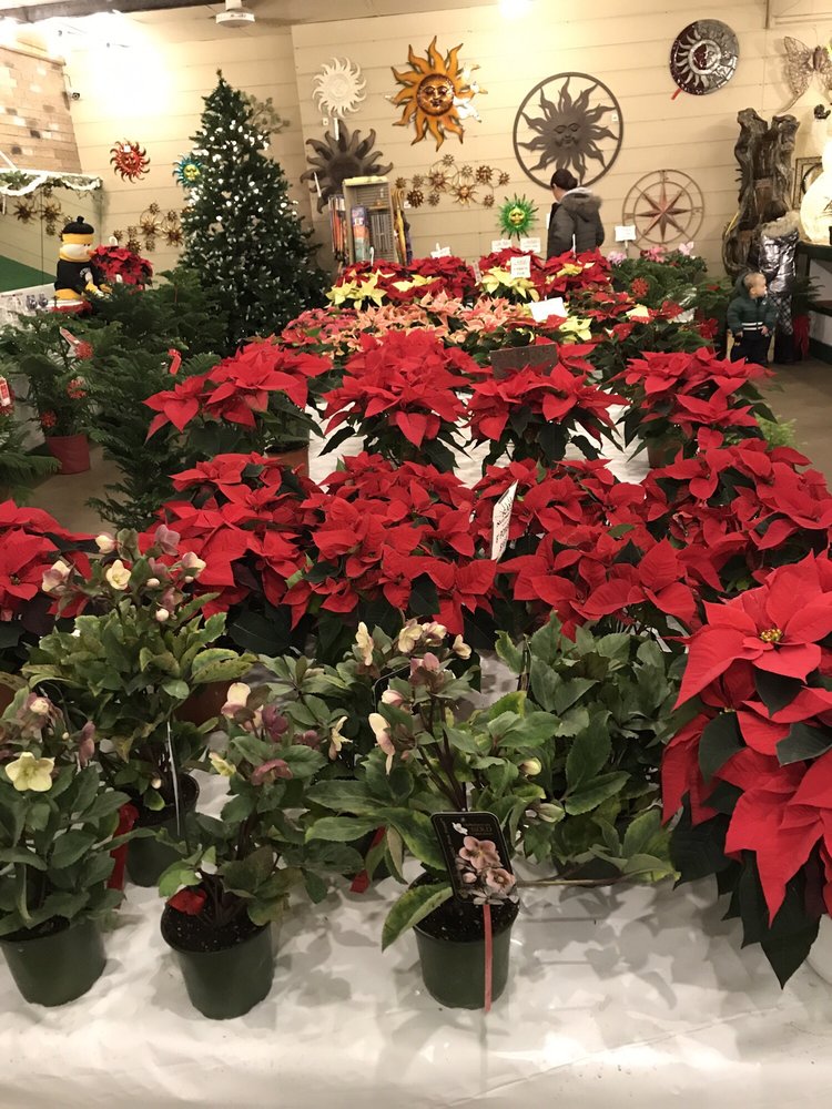 Ray's Nurseries