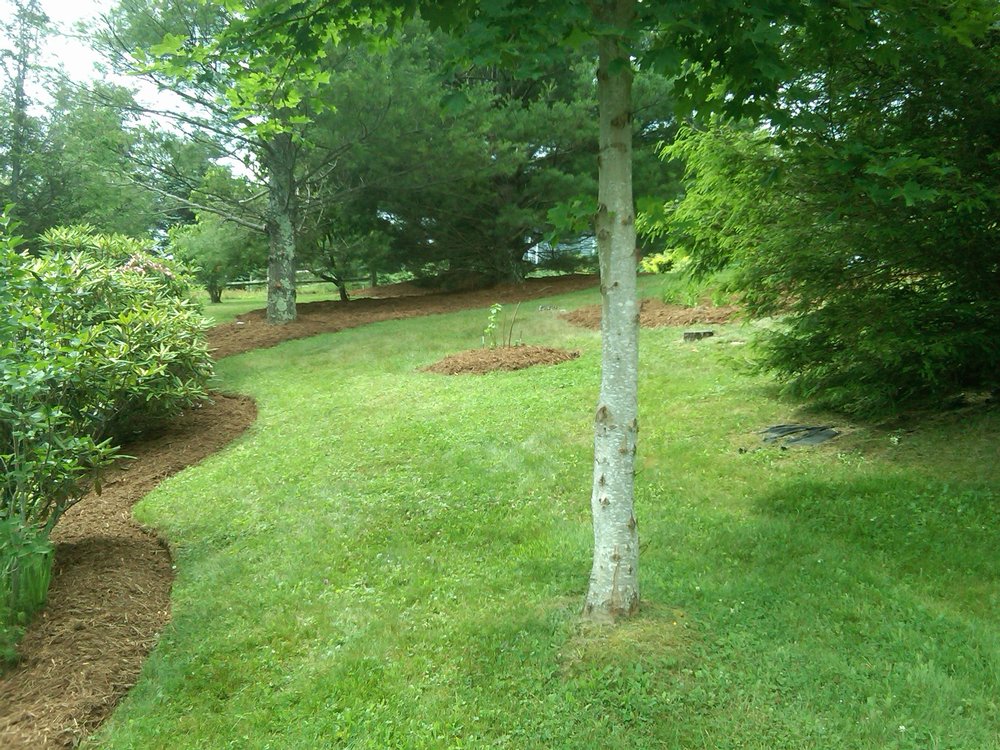 image of business Yard By Yard Lawn Care