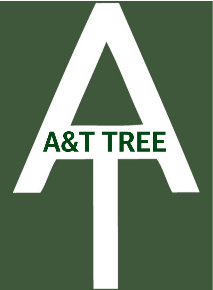 A&T Tree