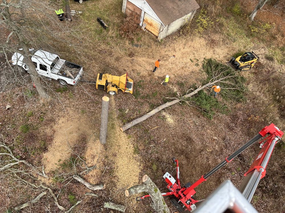 Ocampo Landscaping & Tree Service