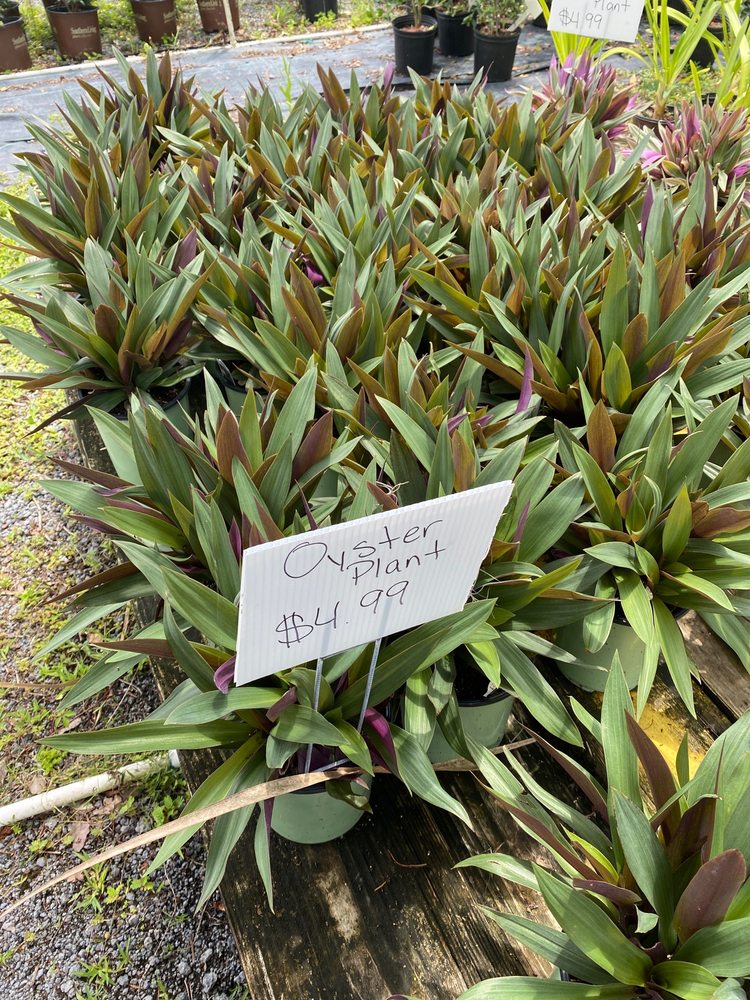 Gore's Nursery