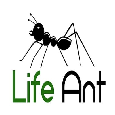 Life Ant