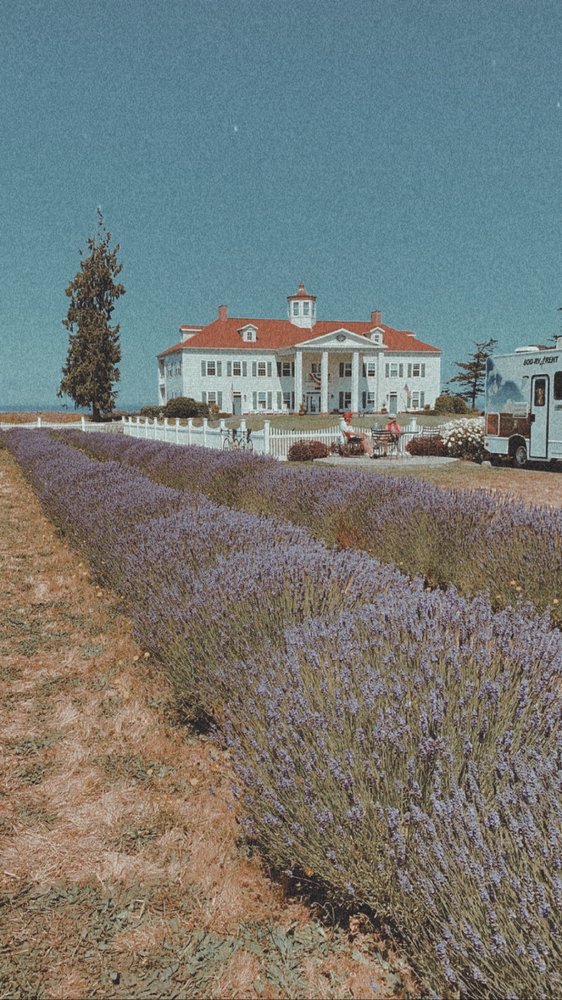 Washington Lavender Farm