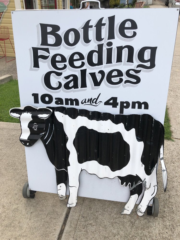 Bodalla Dairy Shed