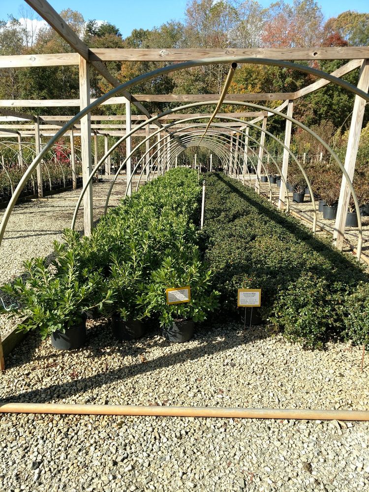 Piedmont -Carolina Landscaping