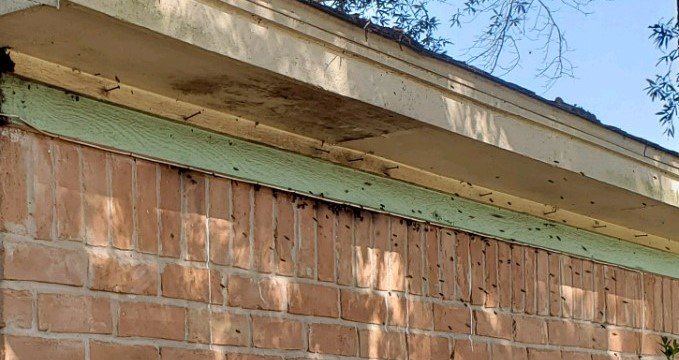 Bug State Pest Control