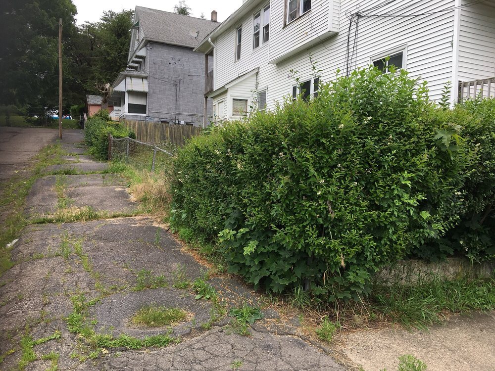 Lawn Love Lawn Care