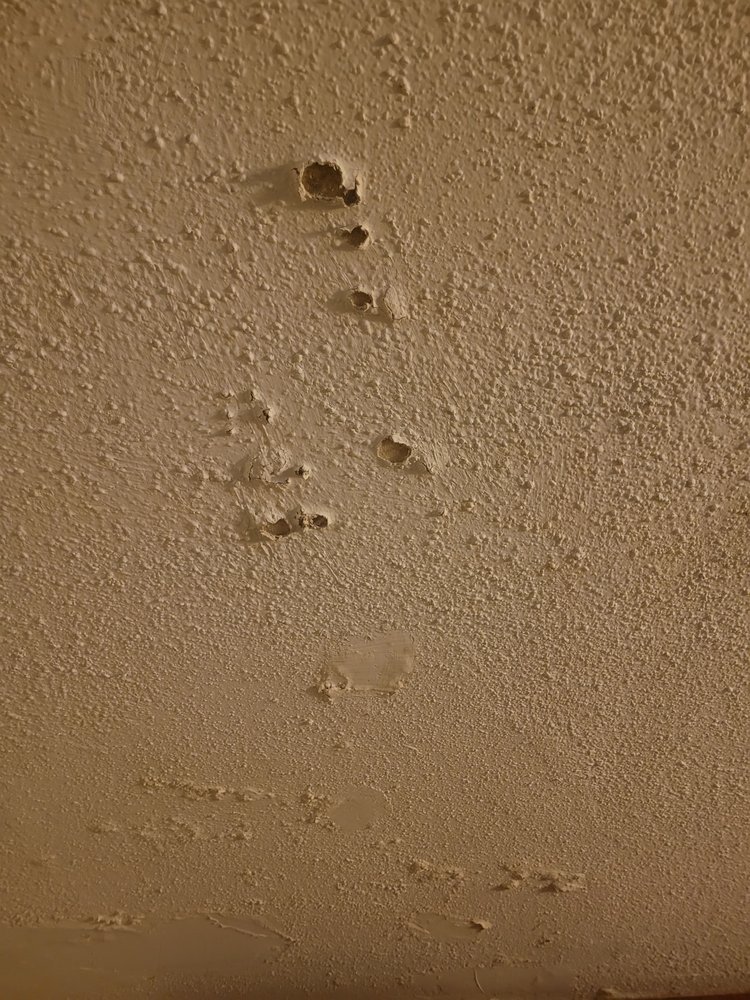 Quality Inn Elizabeth City Near University