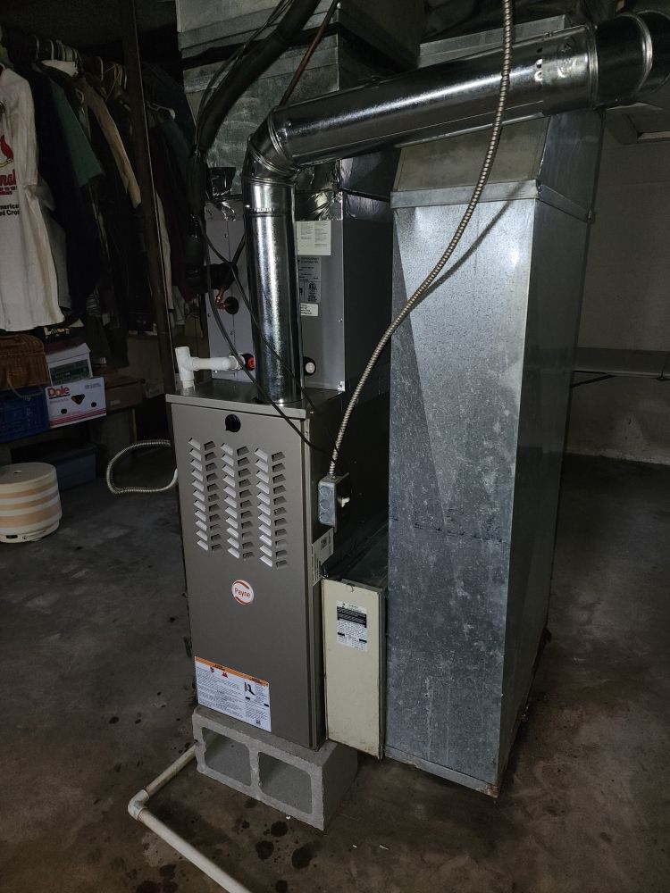 image of business Roger