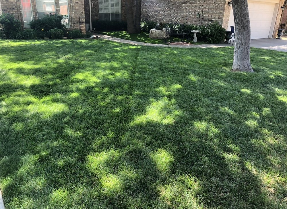 Fred Lawn & Light