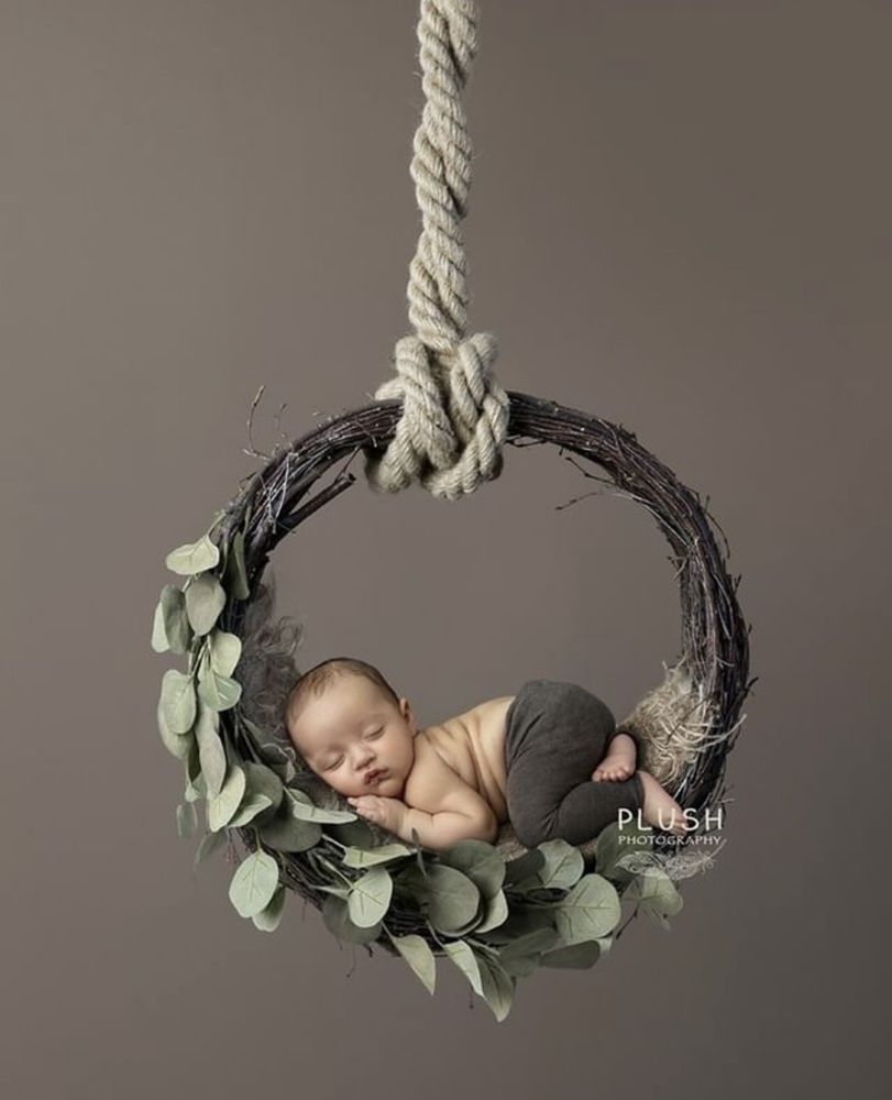 Plush Photography