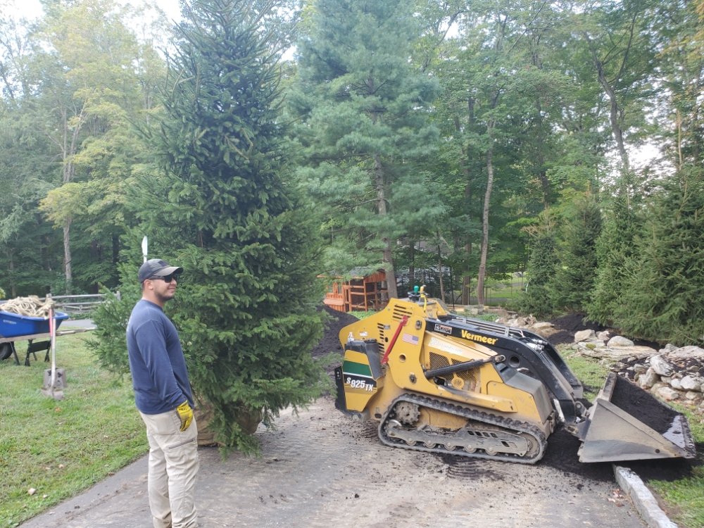 PJ's Landscape & Design