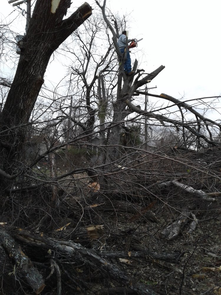 Martinez Tree Service