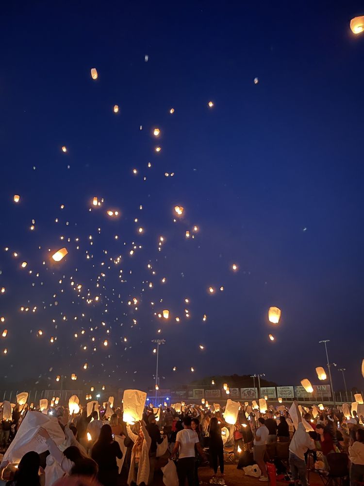 The Lights Fest