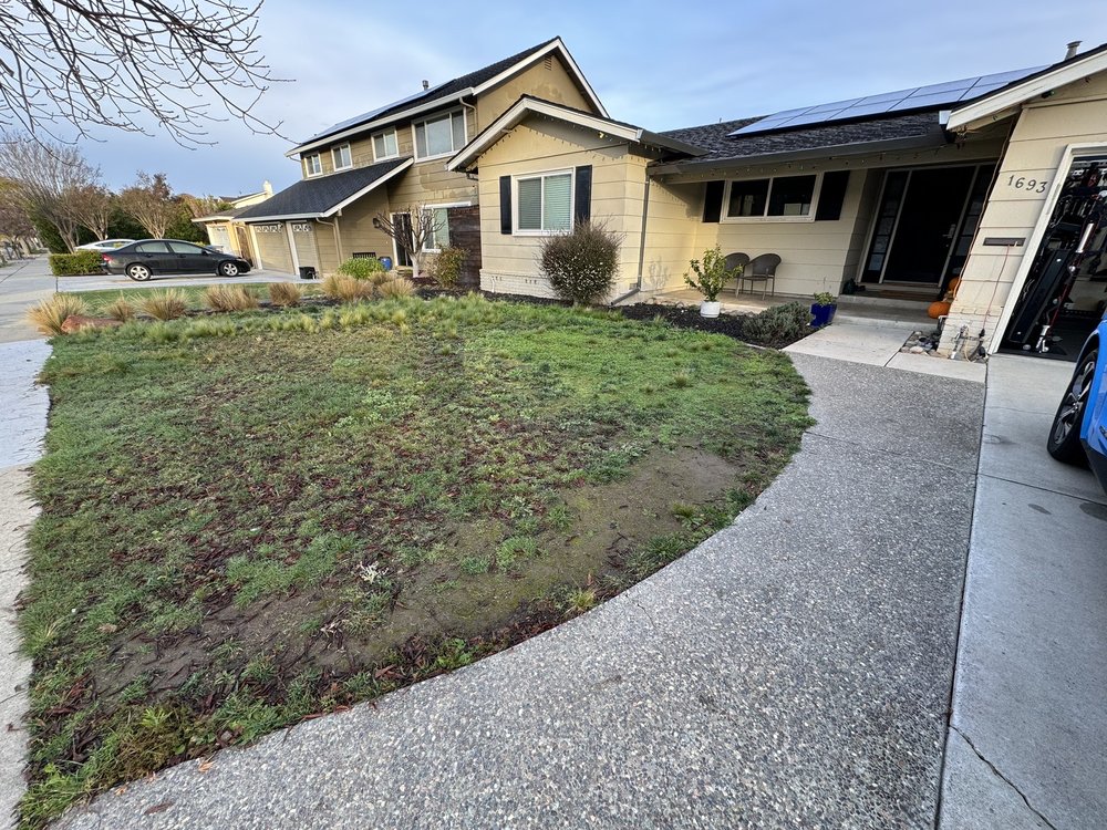 Sandoval Landscaping & Gardening