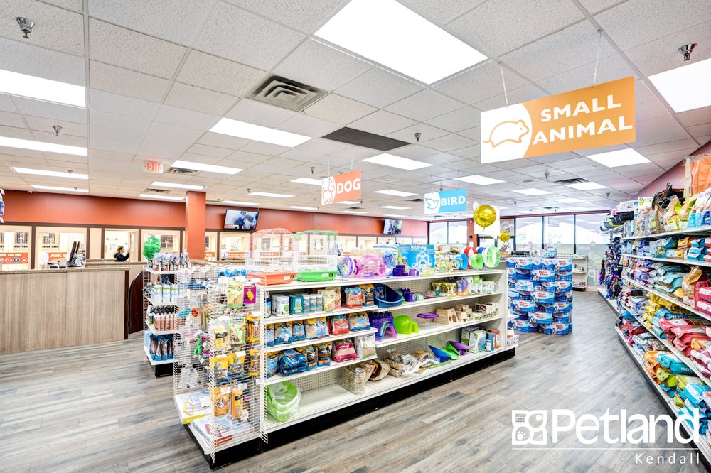 Petland Kendall 37 Photos & 47 Reviews Pet Stores 8236 Mills