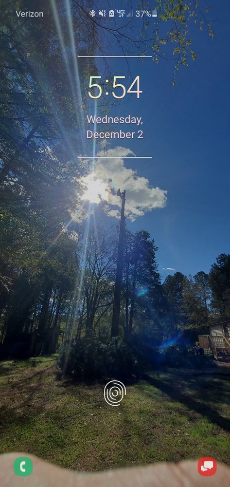 David's Tree Professionals