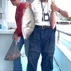gulfstream party fishing boat key largo fl gulfstream party fishing boat 22 photos 12 reviews gulfstream party fishing boat key largo fl gulfstream party fishing boat 22 photos 12 reviews
