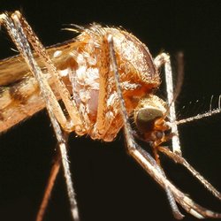 Lawn Doctor Jersey S Pest Control 1889 Rt 9 Toms River Photo Of Lawn Doctor Jersey S Toms River Nj United States