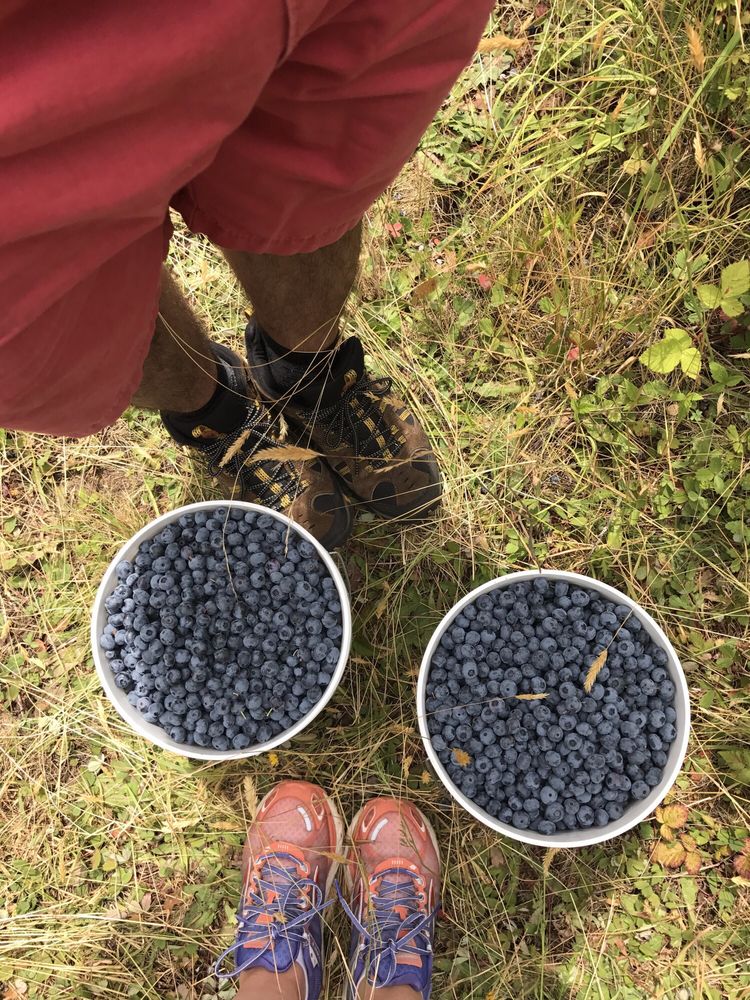 H.I. Bar Farms Pick Your Own Farms 25271 S Springwater Rd, Estacada