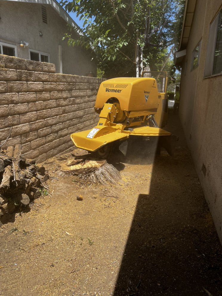 JLG Landscaping & Tree Service