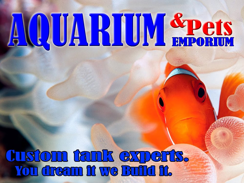 Aquarium & Pets Emporium CLOSED 24 Photos Pet Stores 2457NW