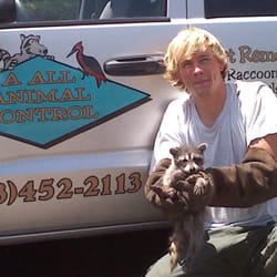 A All Animal Control Of Denver Wildlife 14405 W Colfax Photo Of A All Animal Control Denver Lakewood Co United States