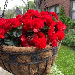 Johansen Farms Nursery & Garden Center photo