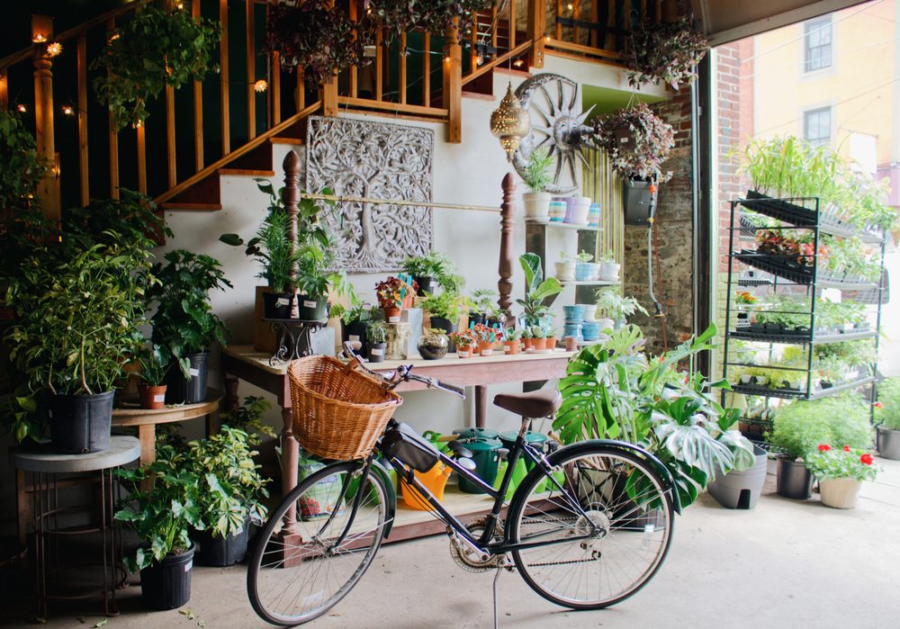 Urban Jungle