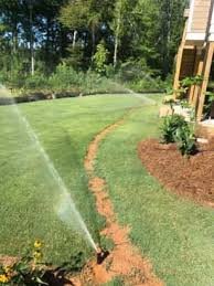 Gardening Sprinkler Tree Trimming