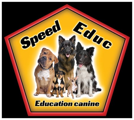 dressage chien dijon