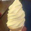 U S Coney & Cone
