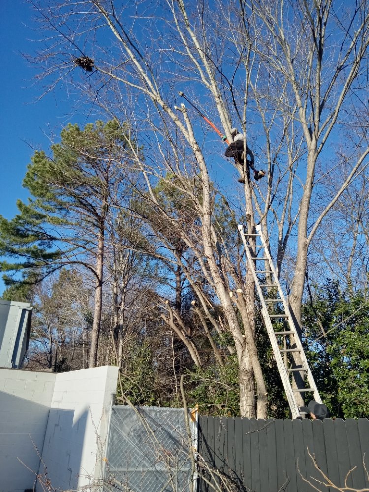 Budget Junk Removal and Demolition