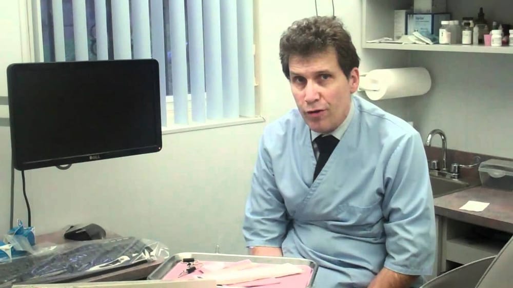 image of business Gallo Stephen DDS
