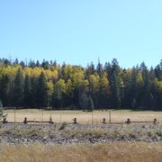 Hannagan Meadow Lodge 13 Reviews Hotels 23150 Us 191 Alpine Photo Of Hannagan Meadow Lodge Alpine Az United States