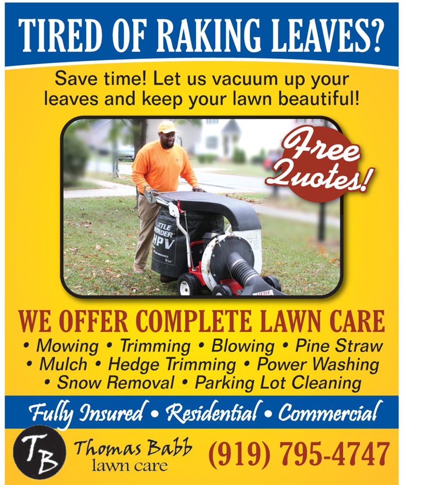 Thomas Babb Lawn Care
