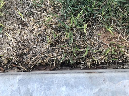 Deshaws Landscaping