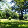 Wapiti RV Park gift card