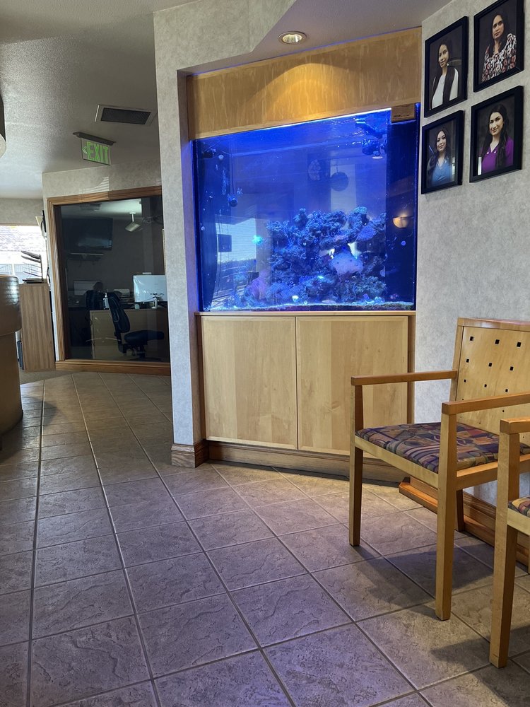 image of business Blanco Circle Dental Care