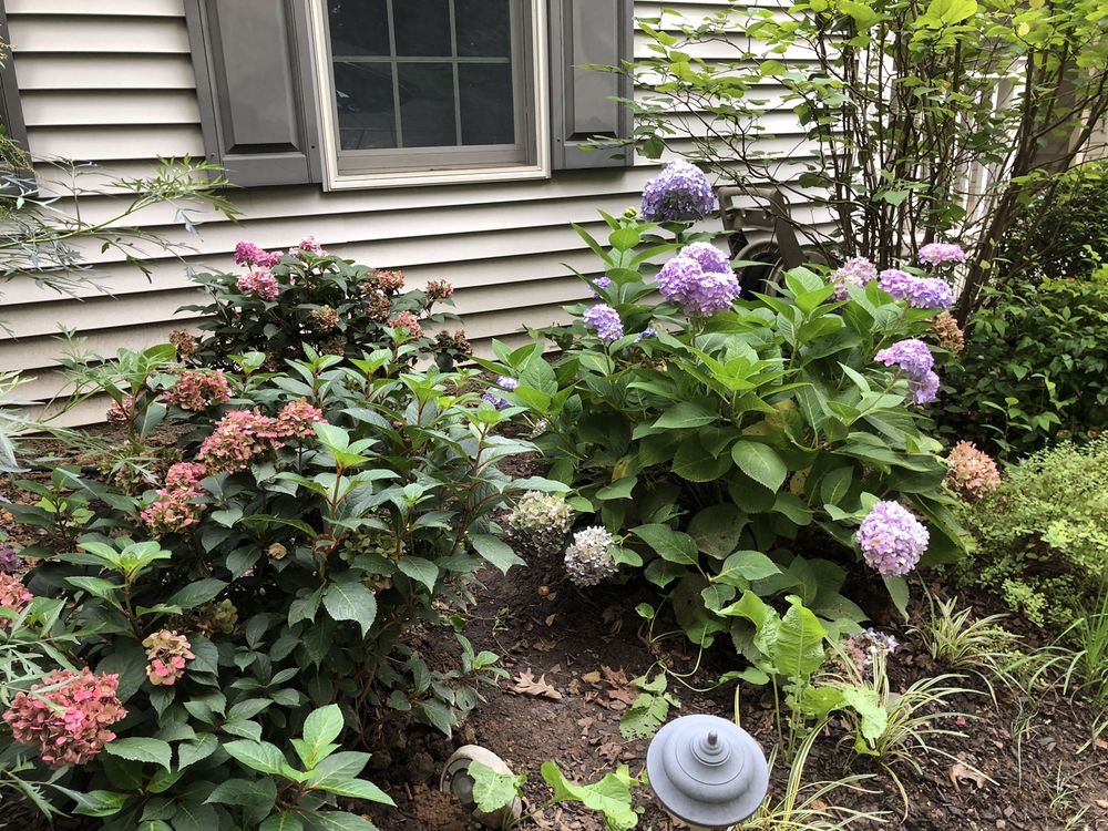Sauder's Nursery