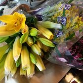 Fort Lauderdale Flower Market Closed 63 Photos Florists 5600 Photo Of Fort Lauderdale Flower Market Fl United States My