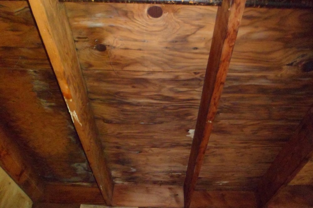 Safeguard Inspections, LLC