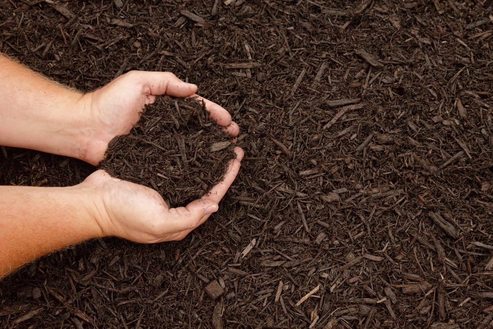 Saunders Landscape Supply