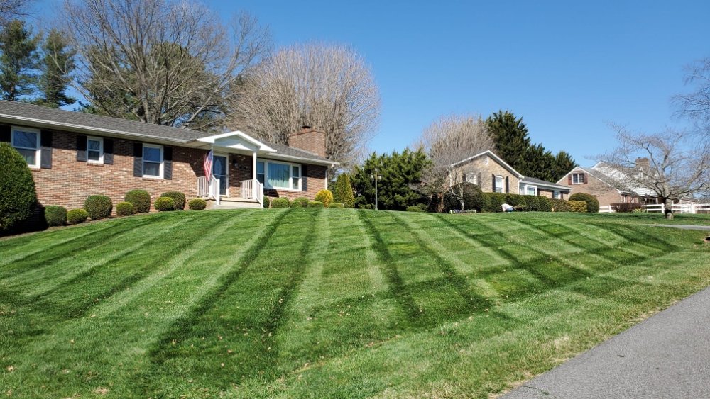 Evergreen Lawncare