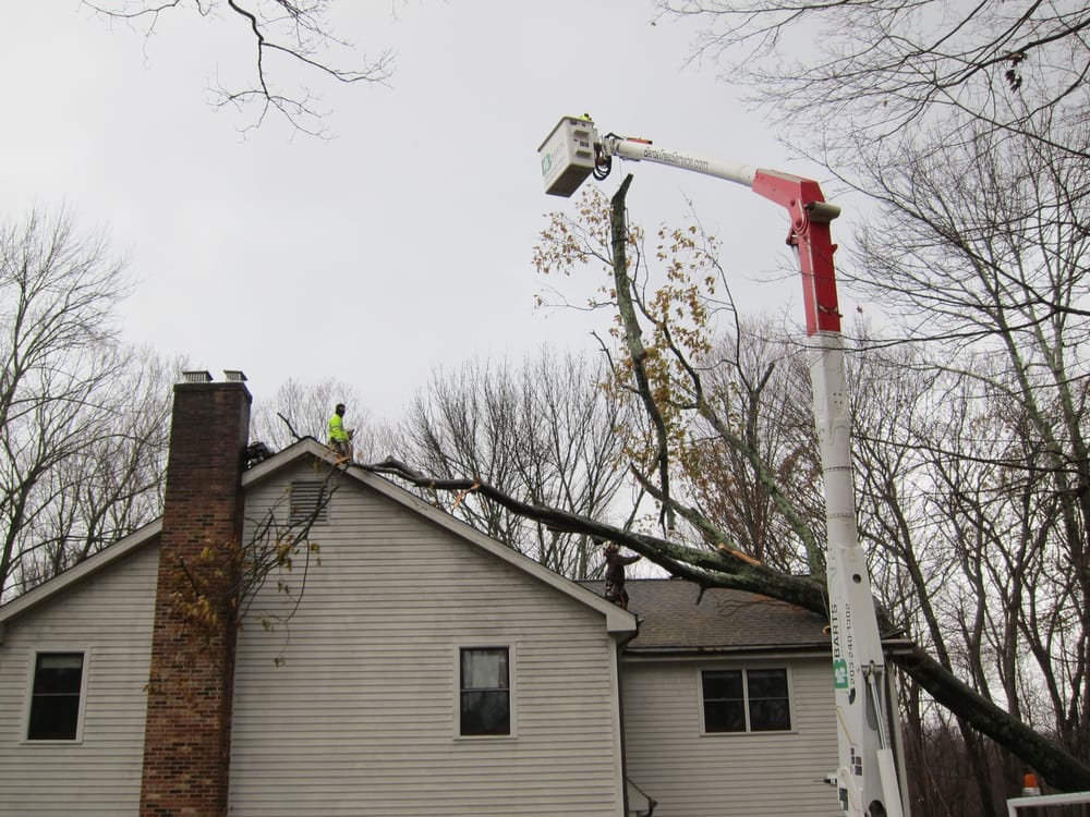 Barts Tree Service