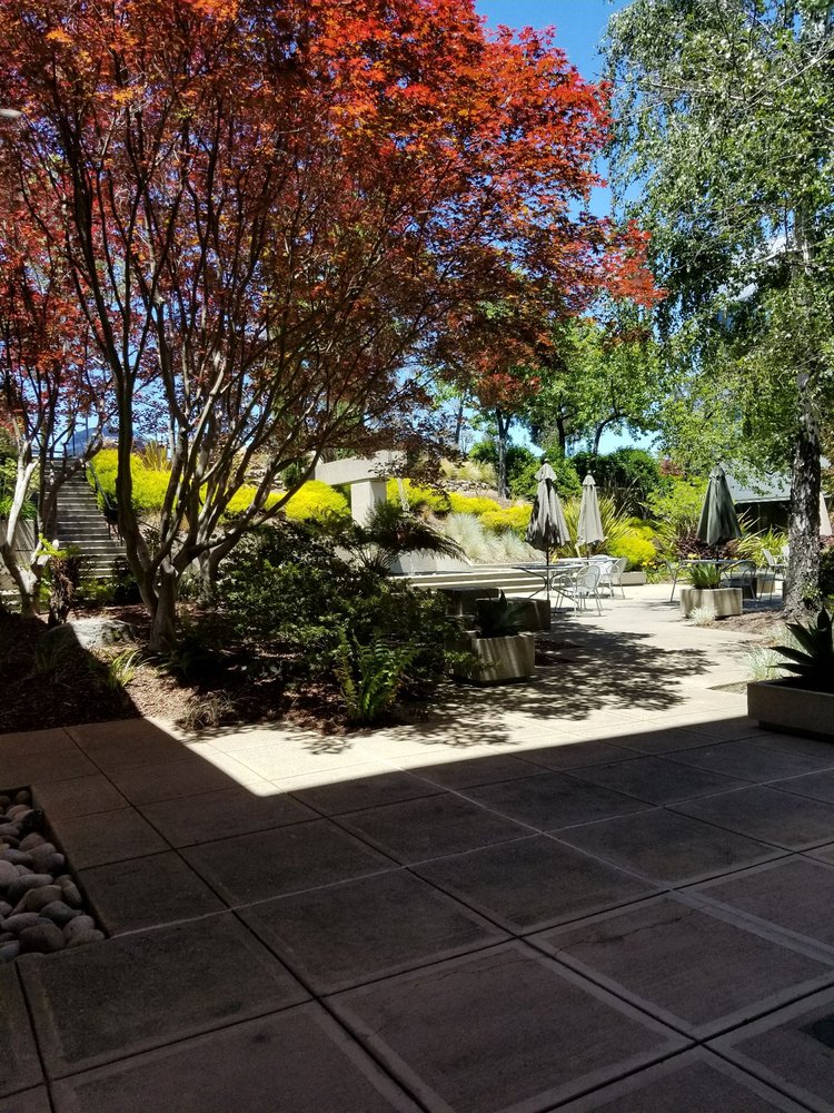 The Civic Garden Deli