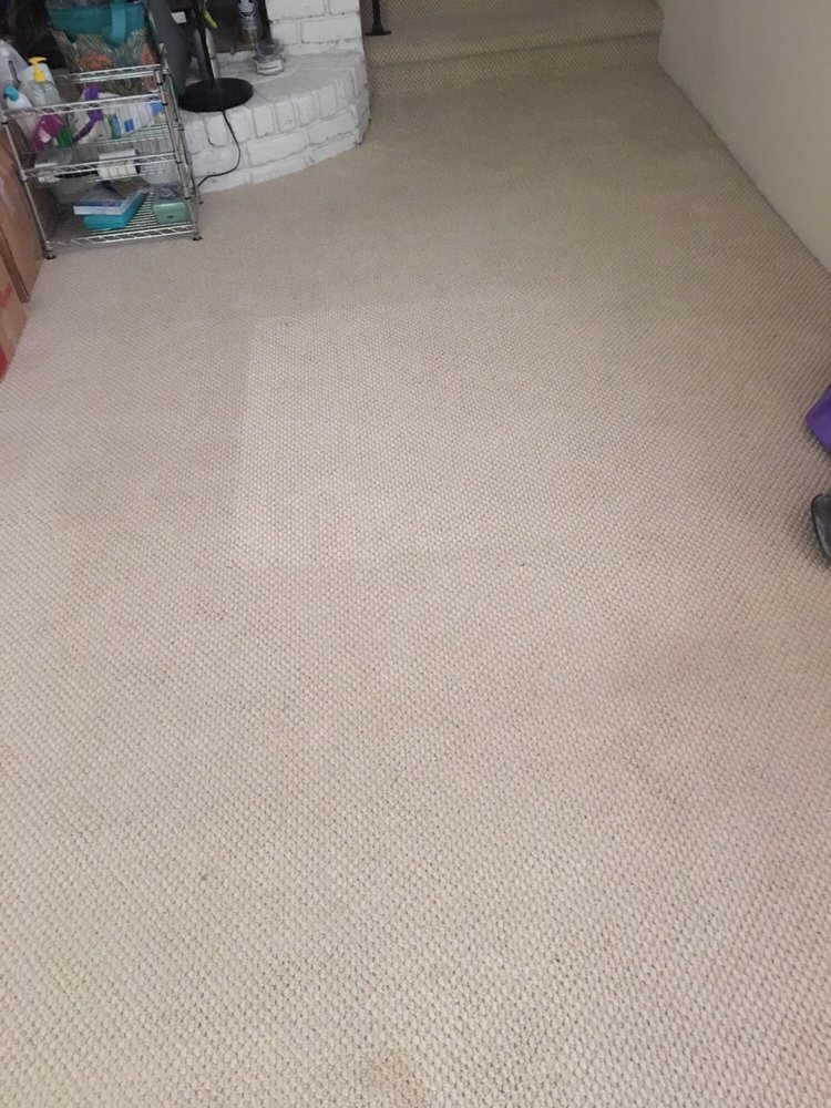 Chem-Dry of the Triad