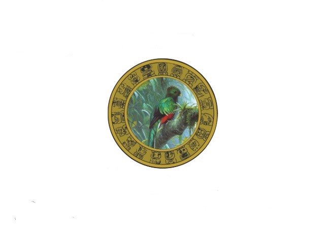 Enriquez Lawn Services