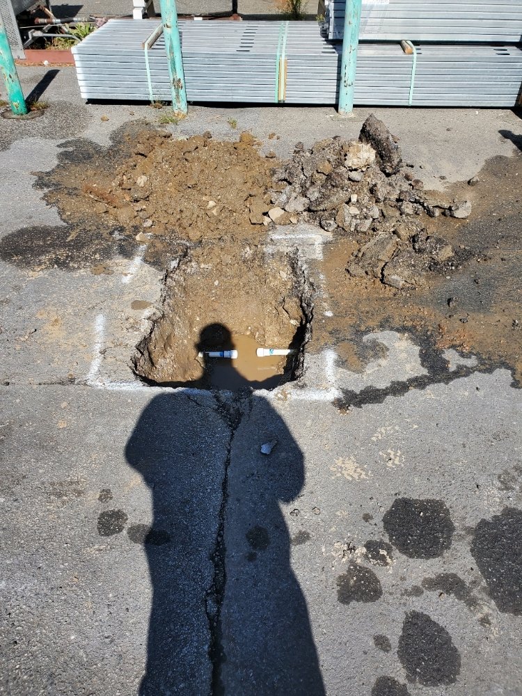 Whistle Plumbing